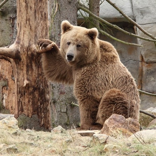 Jihočeská zoologická zahrada Hluboká