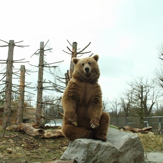 Jihočeská zoologická zahrada Hluboká