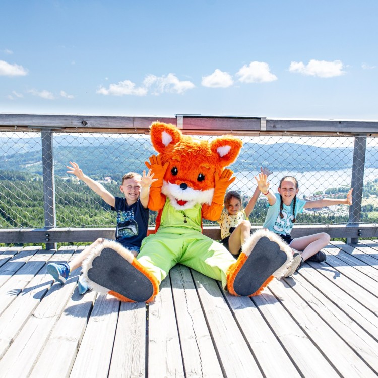 Treetop Walkway