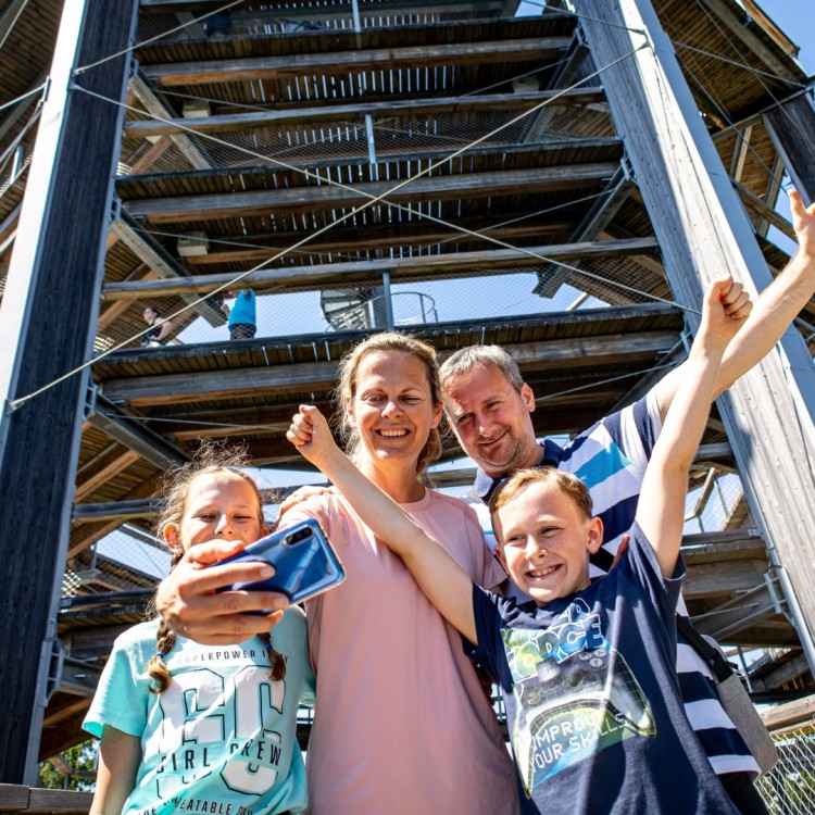 Treetop Walkway