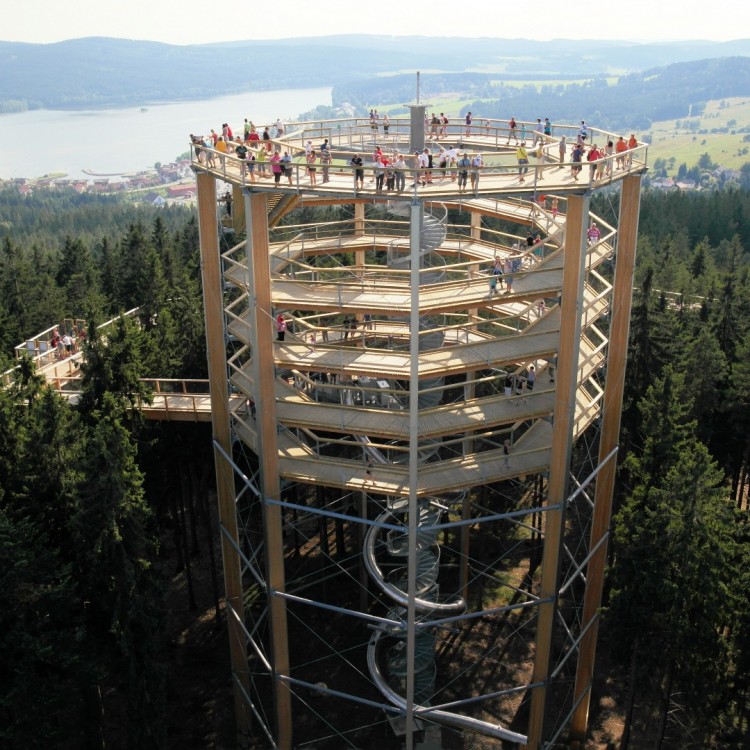 Treetop Walkway