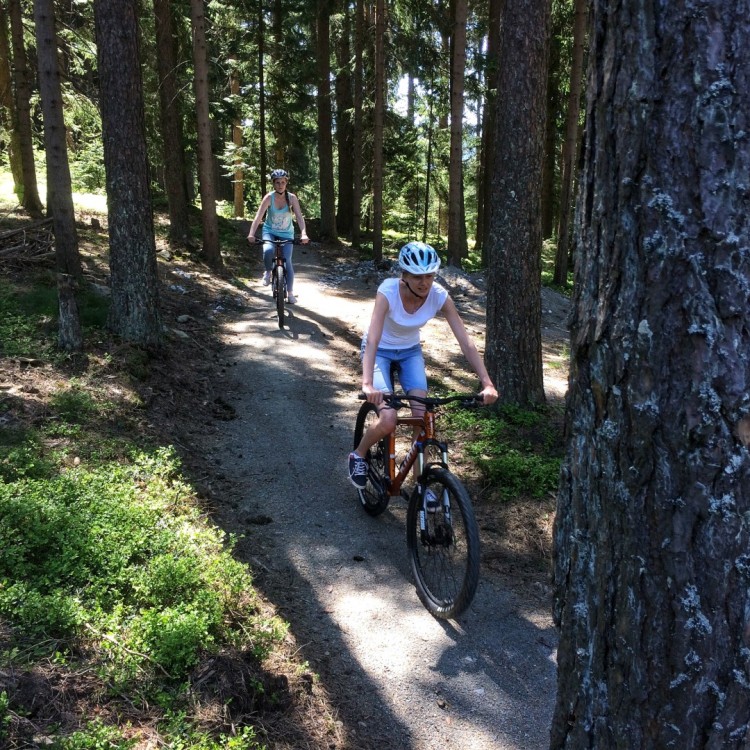 Flow Trail -Familienterrainradweg 