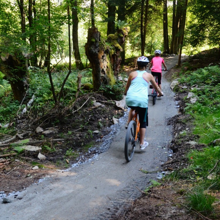 Flow Trail -Familienterrainradweg 