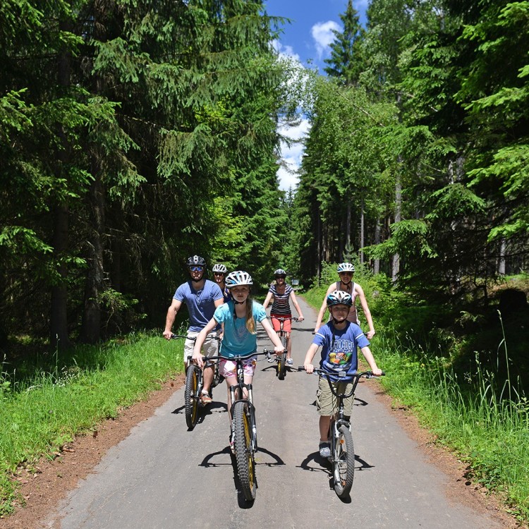 Downhill Scooters