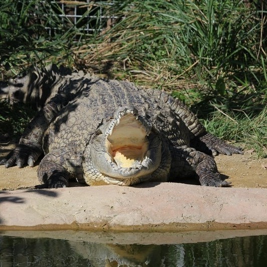 South Bohemian zoological garden Hluboká