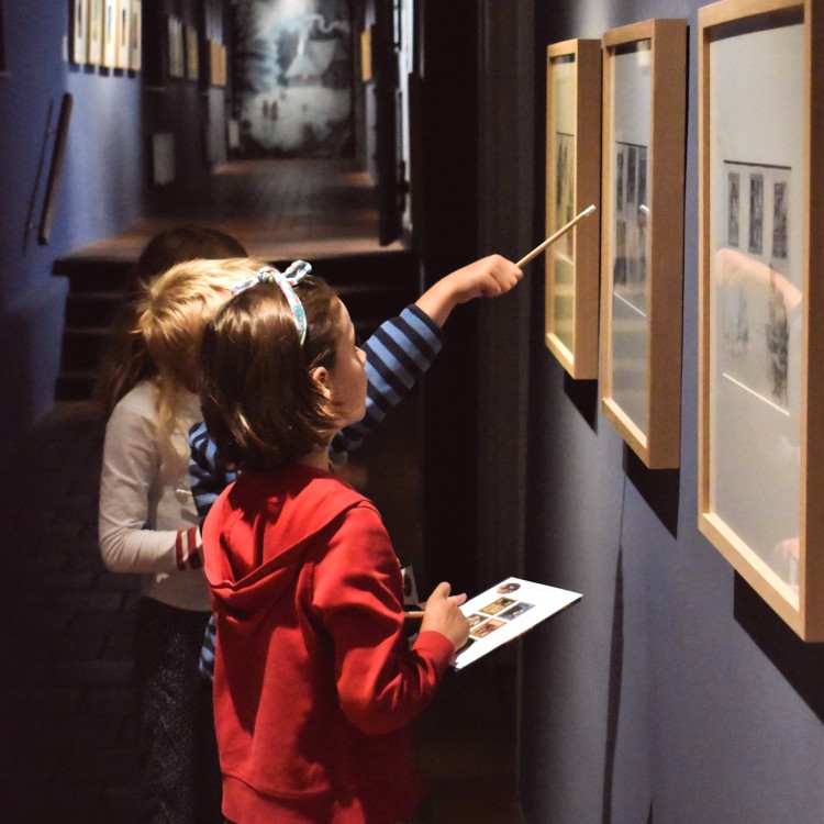 3 + Galerie