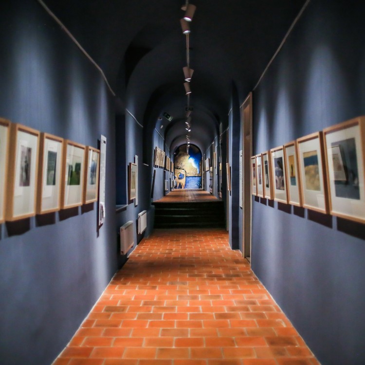 3 + Galerie
