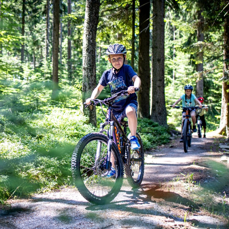 Singletrack Lipno - Familienterrainradweg 