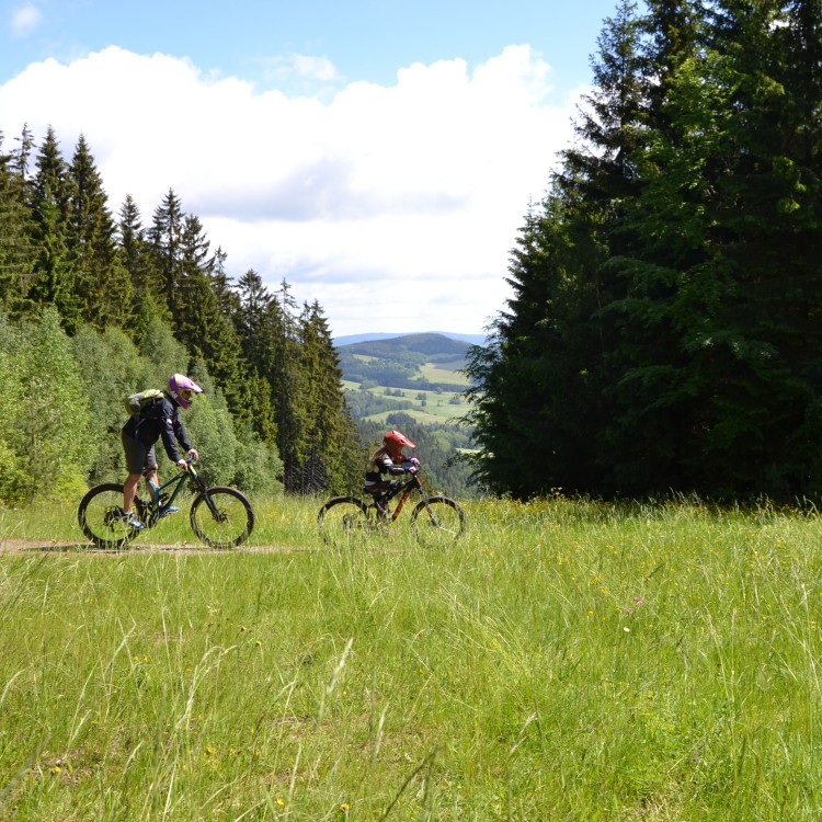 Letní kurz - Bikepark