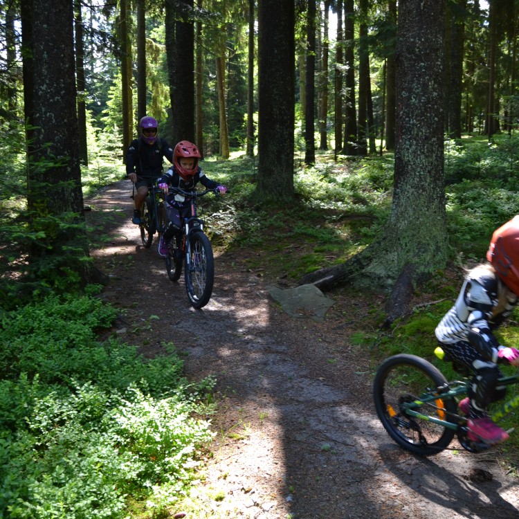 Letní kurz - Bikepark