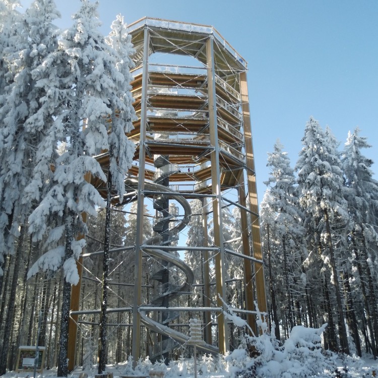 Stezka korunami stromů Lipno