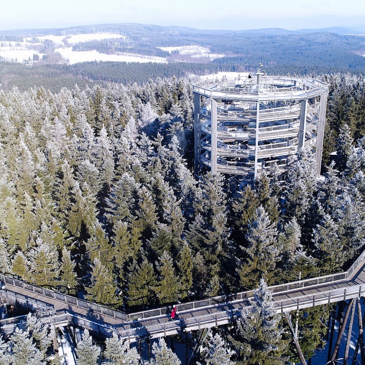 Stezka korunami stromů Lipno