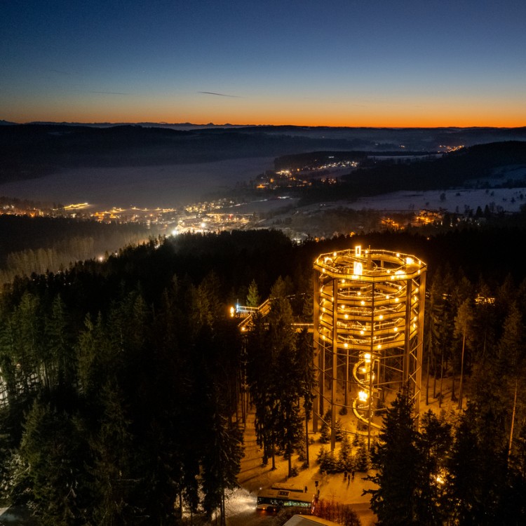 Stezka korunami stromů Lipno