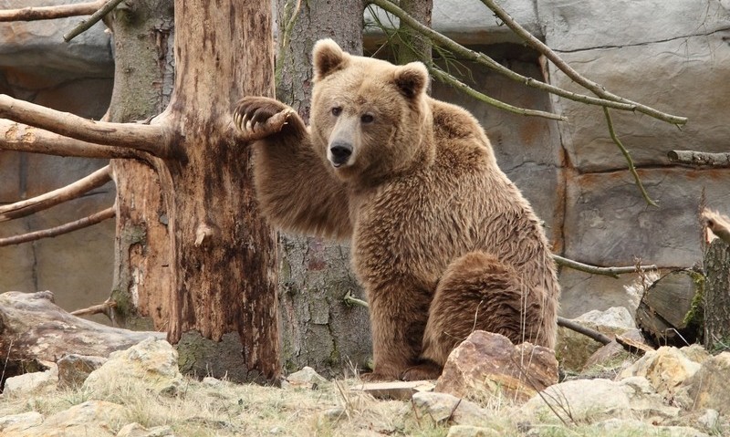 Jihočeská zoologická zahrada Hluboká