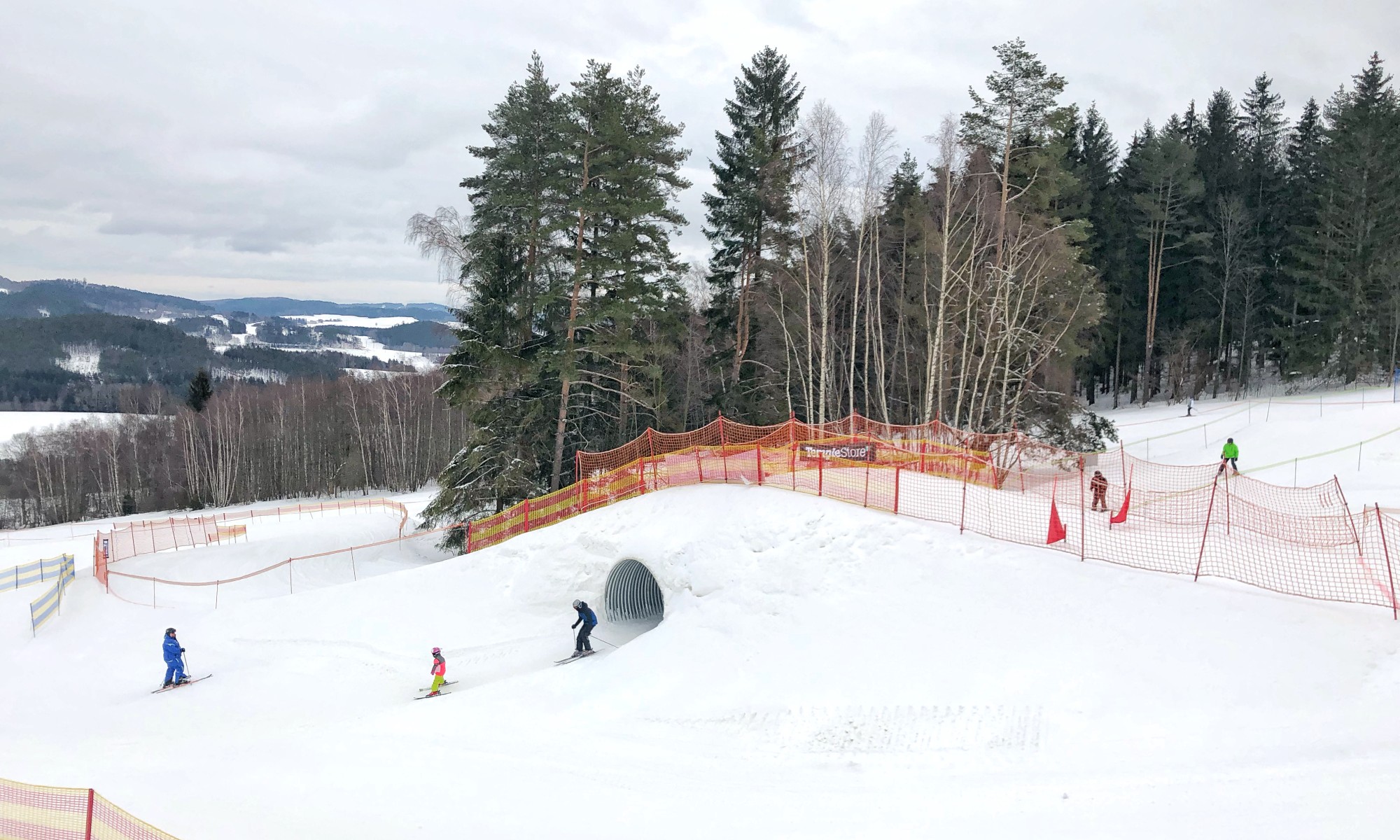 Skicross