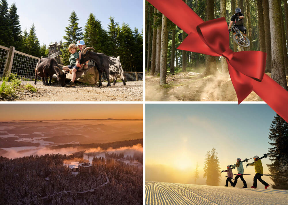 365 pass - celý rok plný zážitků